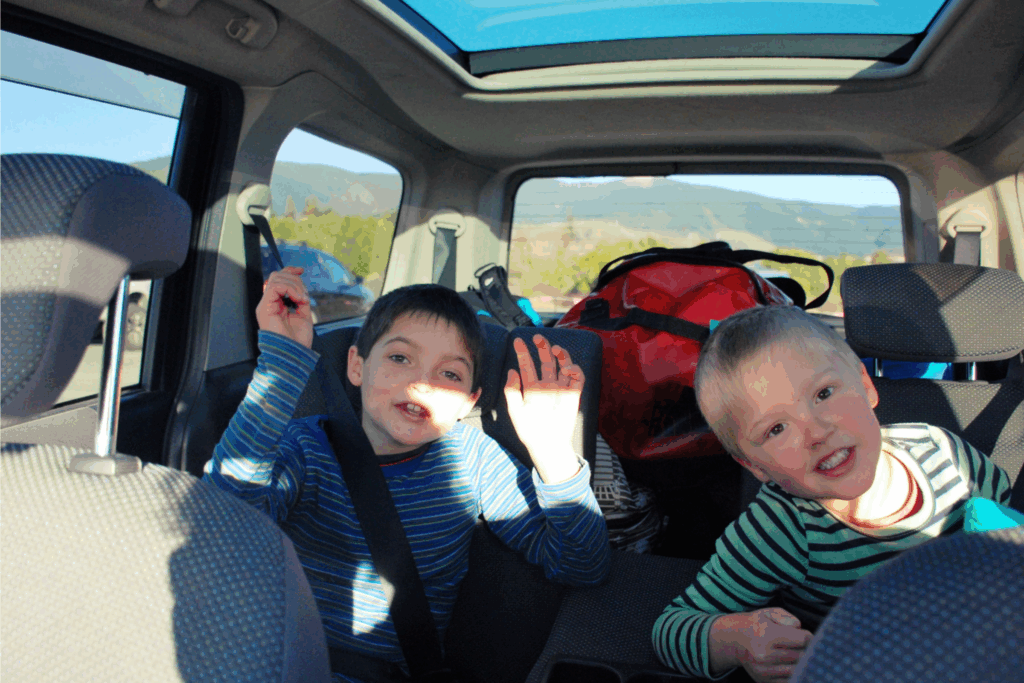 two boys in the backseat of a car with luggage in the background
